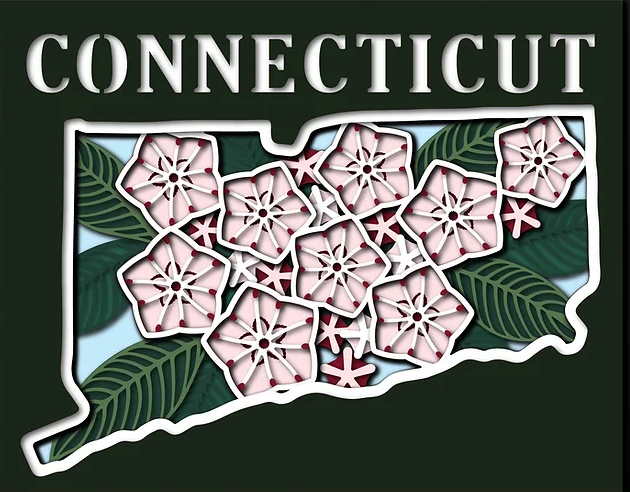 Connecticut State Shadowbox