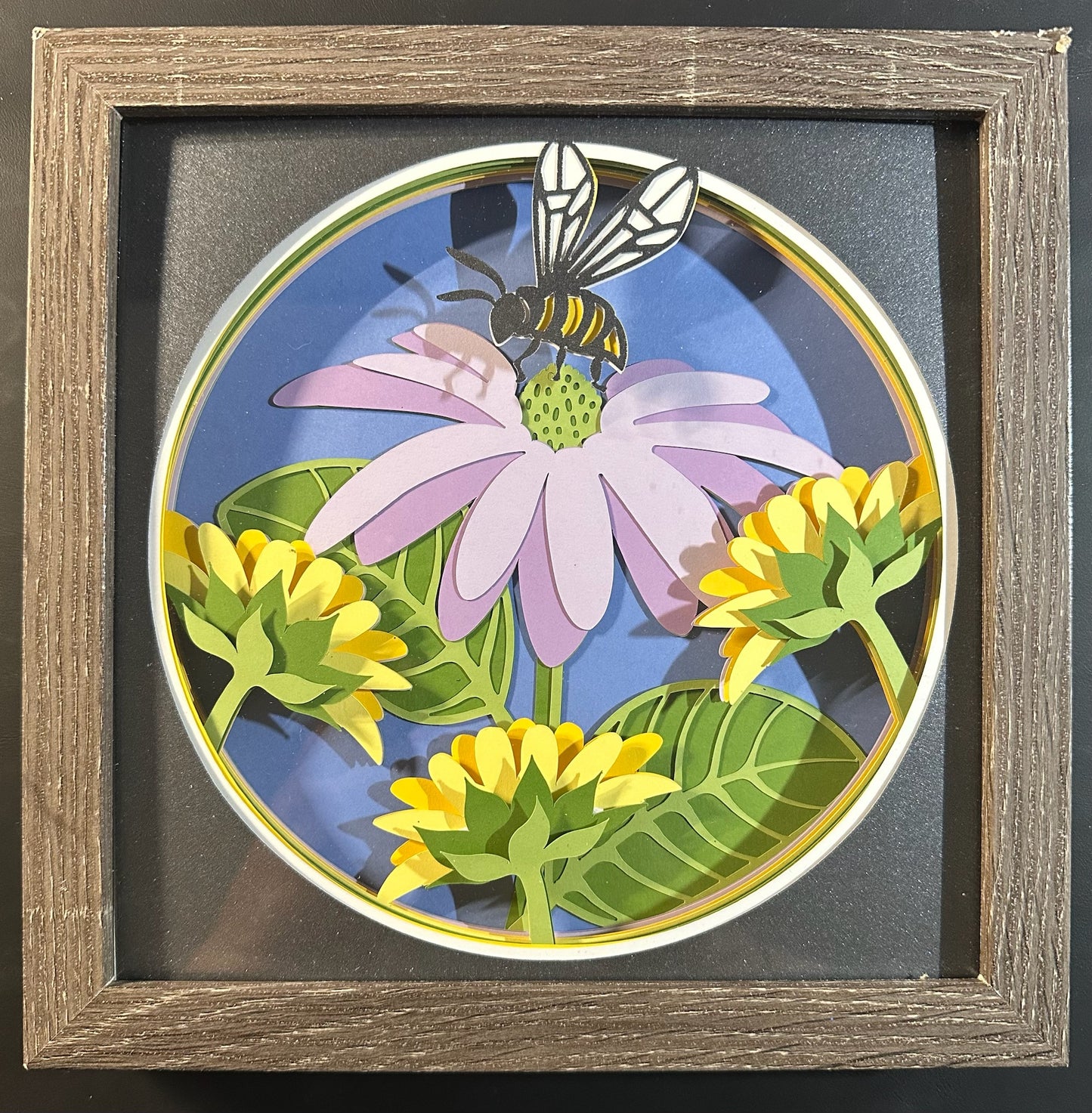 Honey Bee Shadowbox