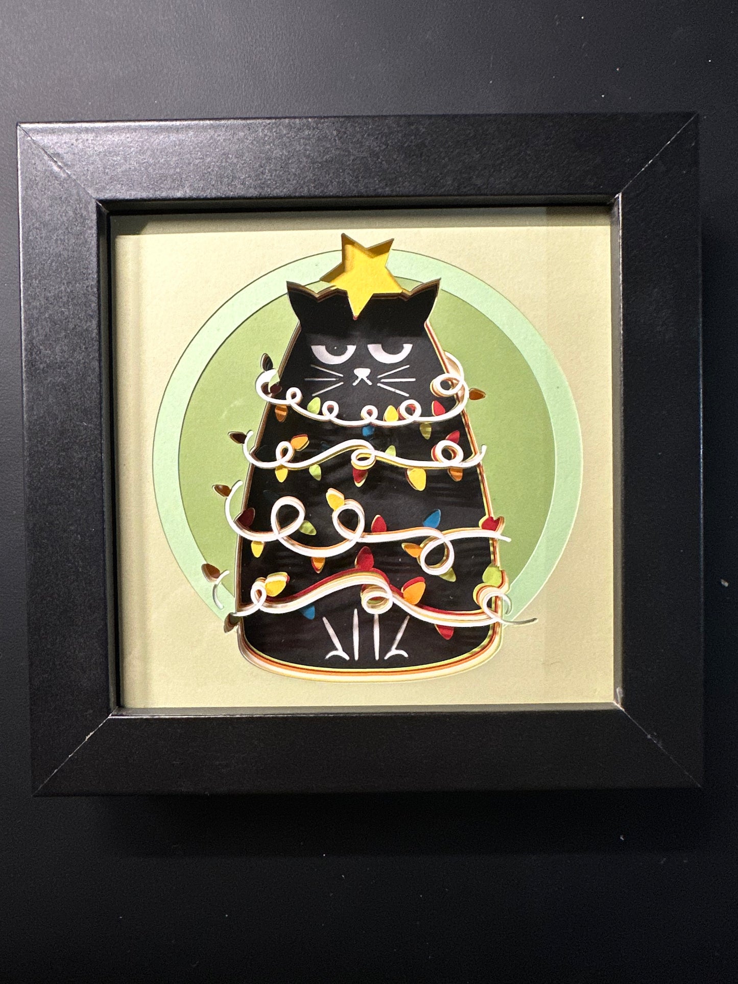 Black Cat With Star Shadowbox
