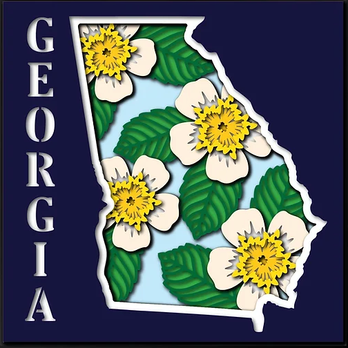 50 States
