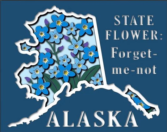 Alaska State Shadowbox