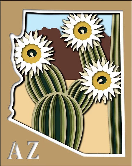 Arizona State Shadowbox