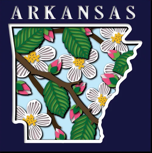 Arkansas State Shadowbox