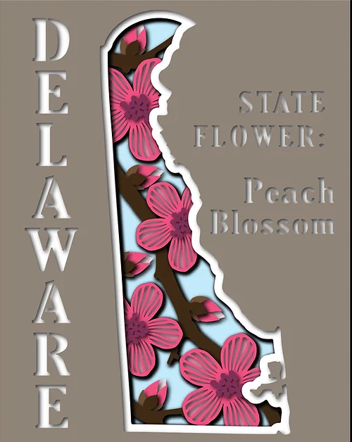 Delaware State Shadowbox