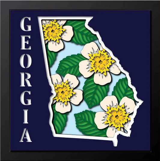 Georgia Shadowbox