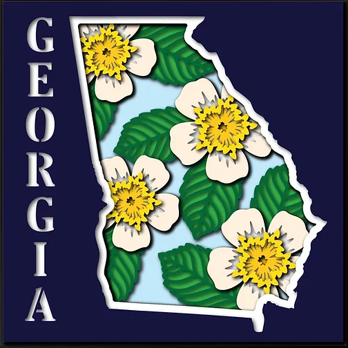 Georgia State Shadowbox