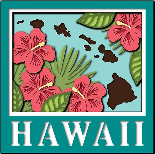 Hawaii State Shadowbox