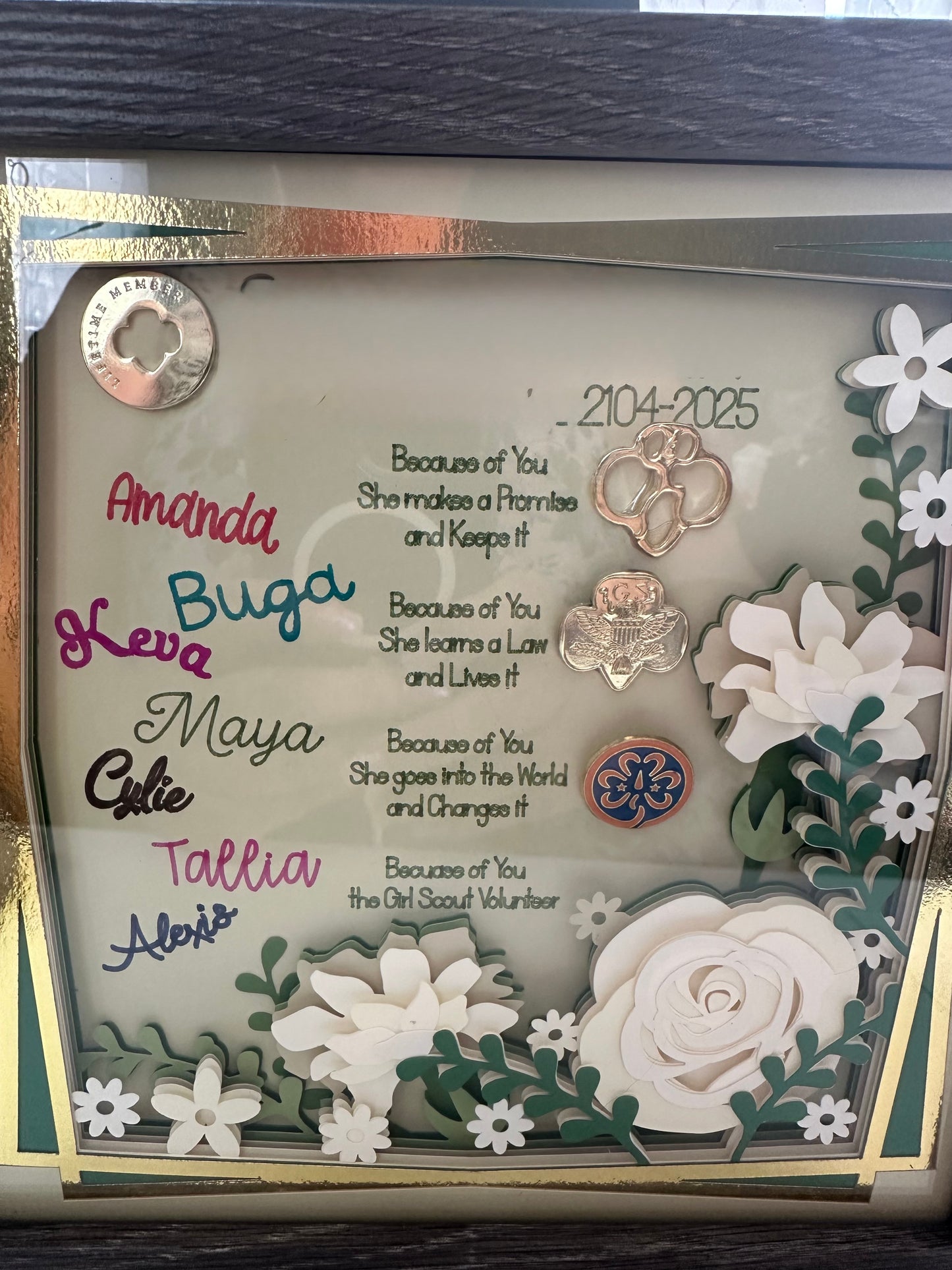 Girl Scout Leader Shadowbox
