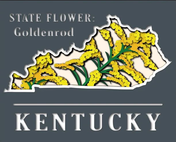 Kentucky State Shadowbox