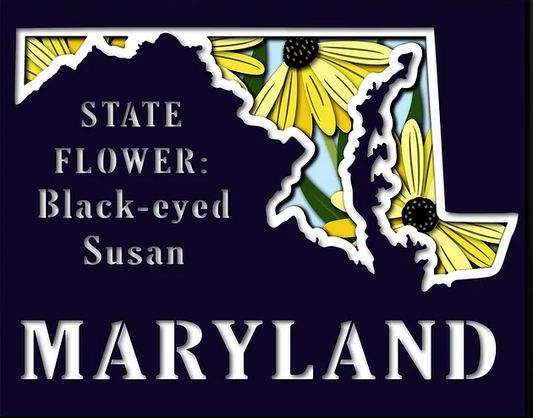 Maryland State Shadowbox