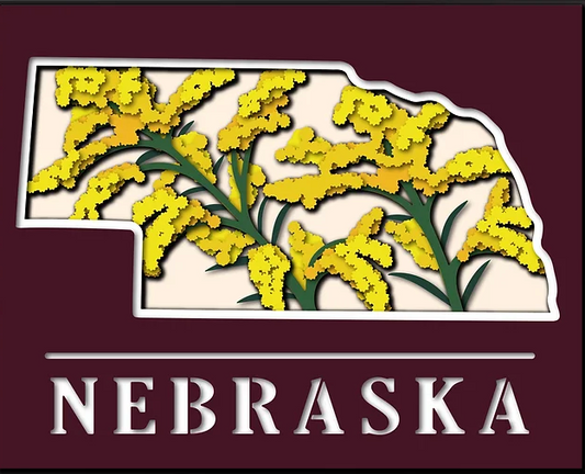 Nebraska State Shadowbox