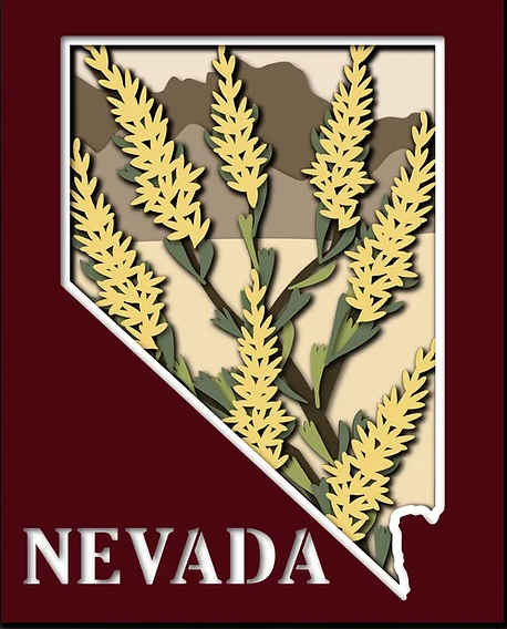 Nevada State Shadowbox