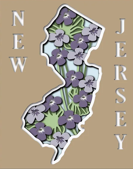 New Jersey State Shadowbox