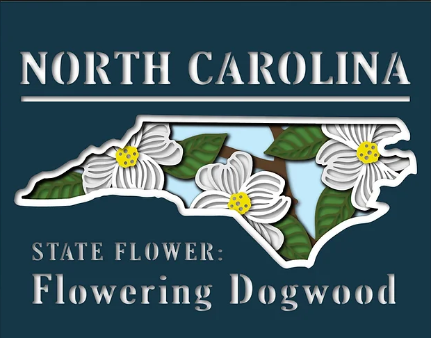 North Carolina State Shadowbox