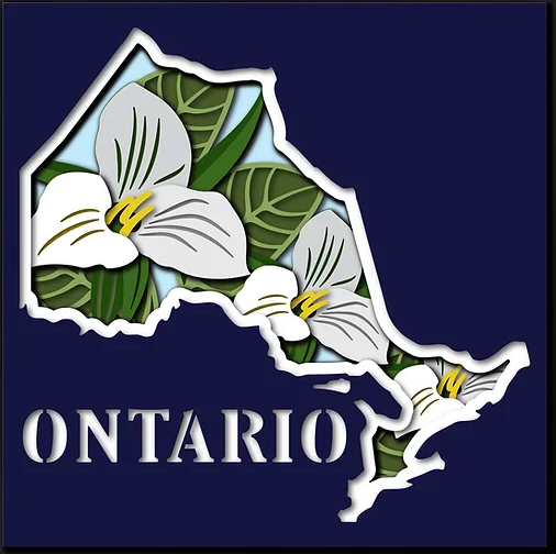 Ontario Privince Shadowbox