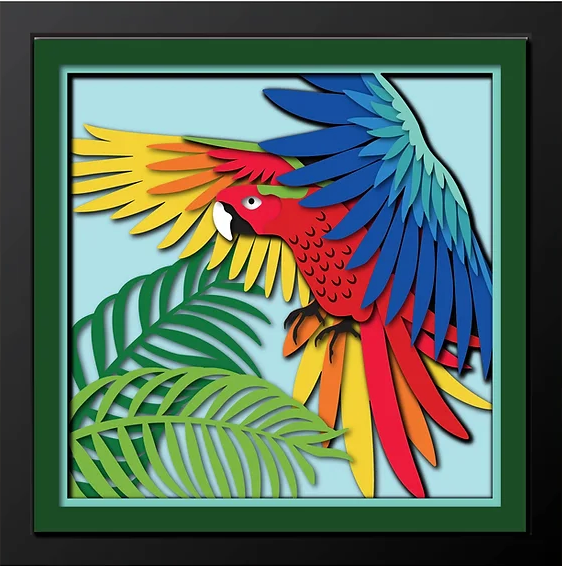 Parrot Shadowbox