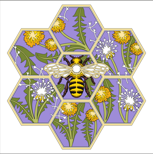 Bee Honeycomb Shadowbox