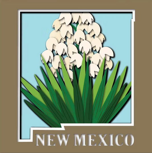 New Mexico State Shadowbox