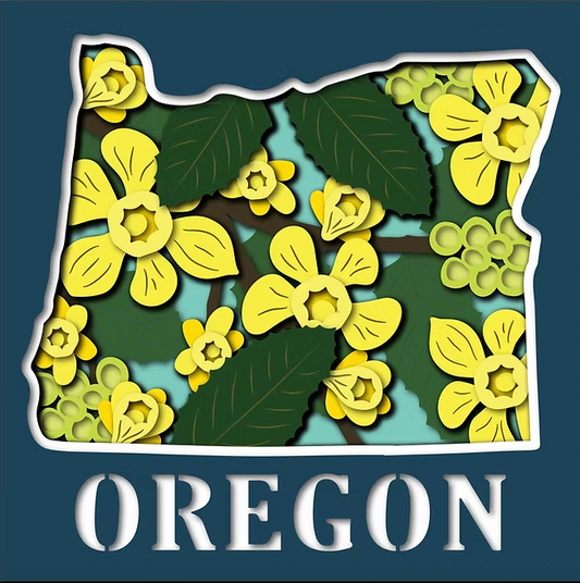 Oregon State Shadowbox