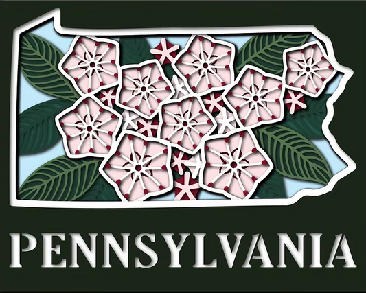 Pennsylvania State Shaowbox