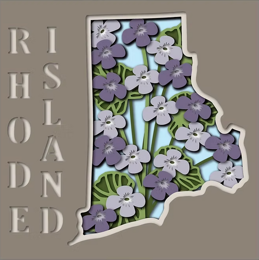 Rhode Island State Shadowbox