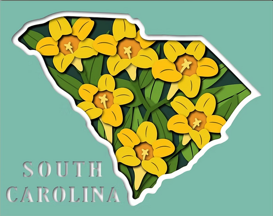 South Carolina State Shadowbox