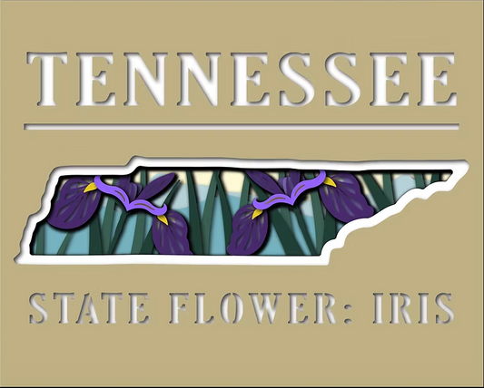 Tennessee State Shadowbox