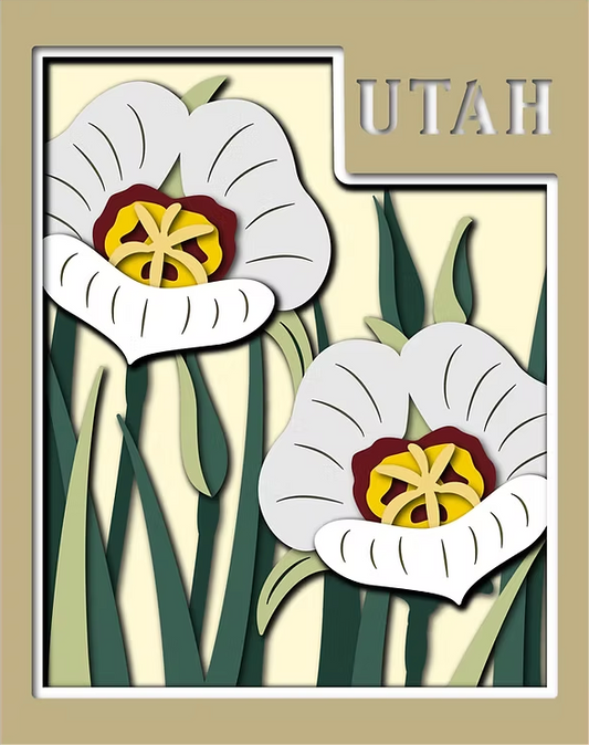 Utah State Shadowbox