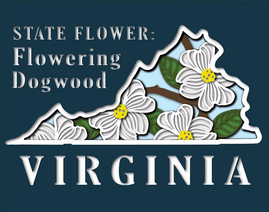 Virginia State Shadowbox