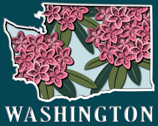 Washington State Shadowbox