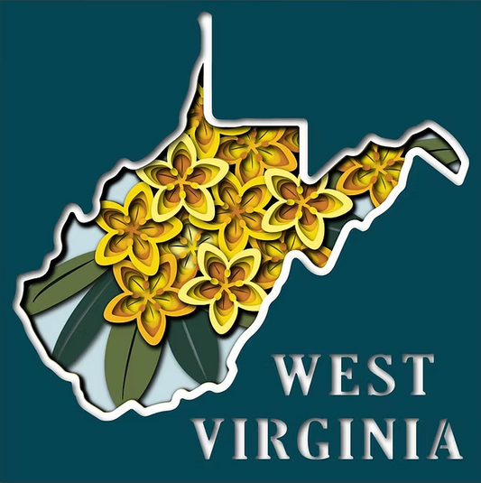 West Virginia State Shadowbox