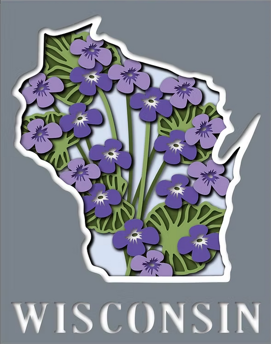 Wisconsin State Shadowbox