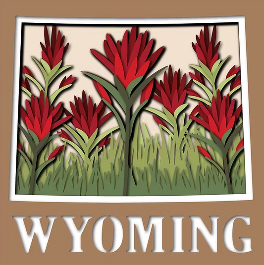 Wyoming State Shadowbox