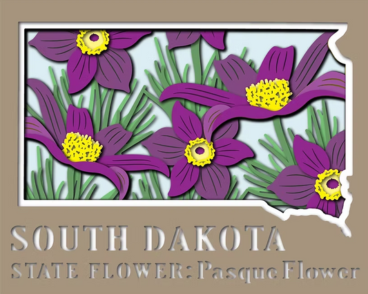 South Dakota State Shadowbox