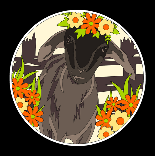 Goat Shadowbox