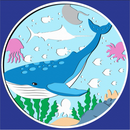 Baby Whale Shadowbox