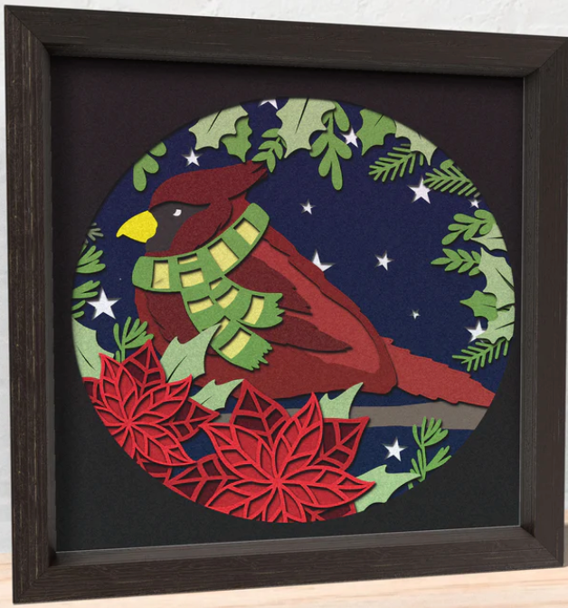 Cardinal Shadowbox