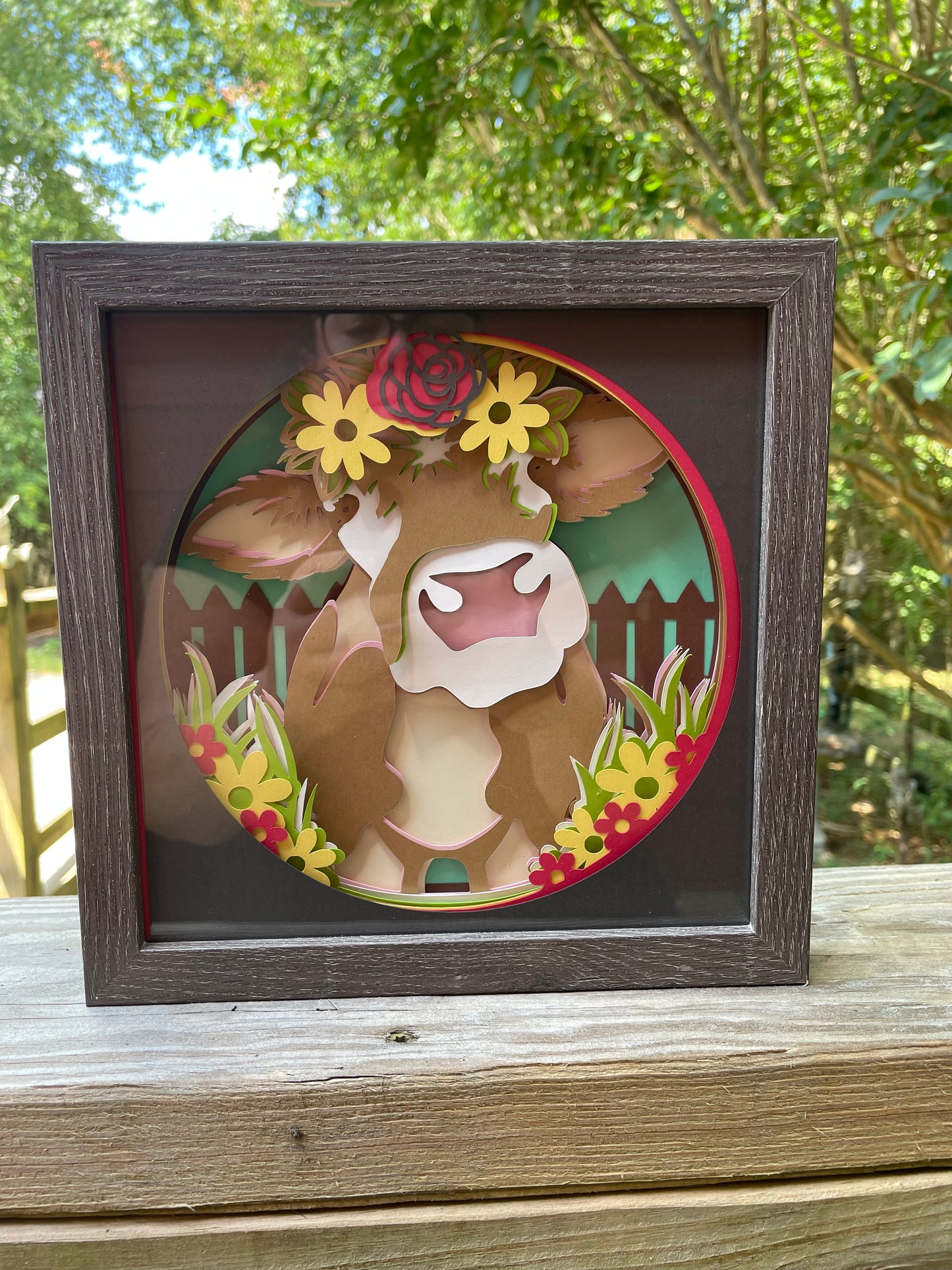 Cow Shadowbox